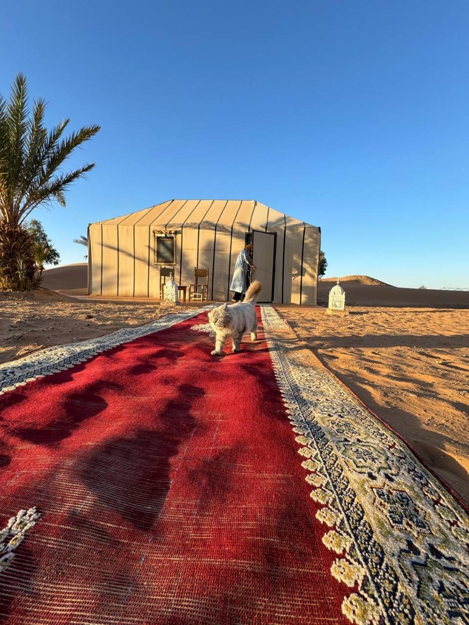 Sahara Luxury Camp Vip Hotel เมอร์ซูกา ภายนอก รูปภาพ