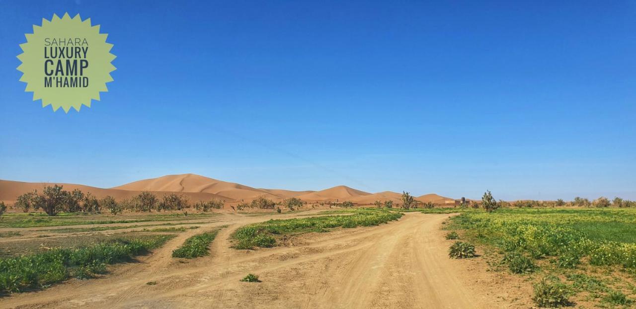 Sahara Luxury Camp Vip Hotel เมอร์ซูกา ภายนอก รูปภาพ